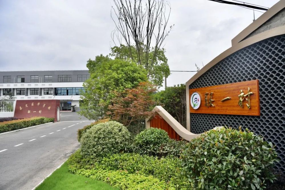 嘉定华亭镇联一村徜徉江南水墨画