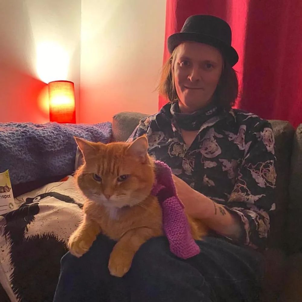 流浪猫鲍勃里的橘猫原形鲍勃回喵星了