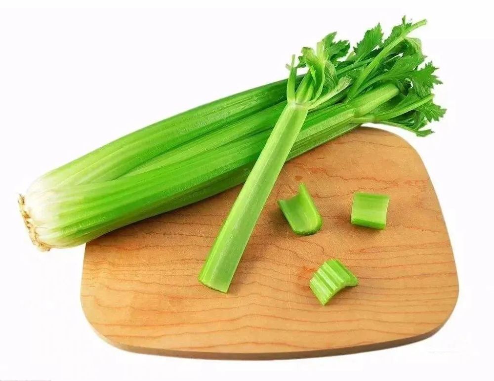 与更为常见,同为伞形科植物的细瘦芹菜相比,旱芹体量明显更彪悍.