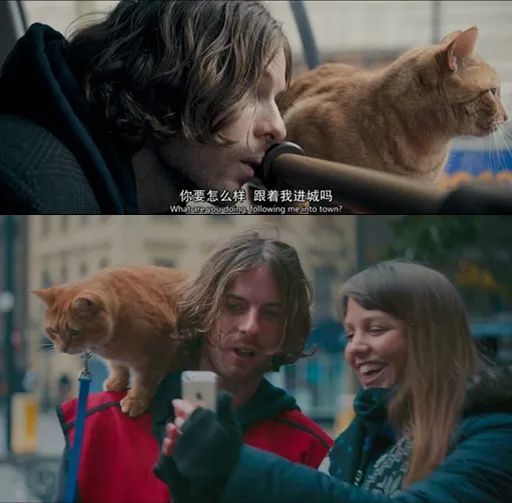 鲍勃的到来给鲍恩的生活带来极大的改变,让他逐渐走出了生活的阴影.