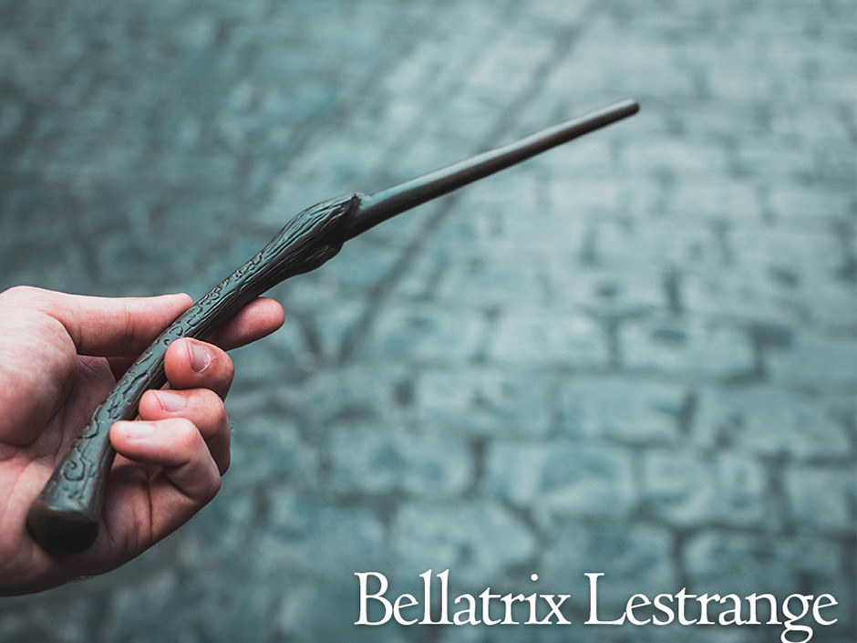 哈利波特通过魔杖的材料来看巫师的性格特点