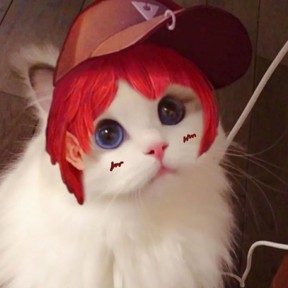 接头霸王王者荣耀猫猫头