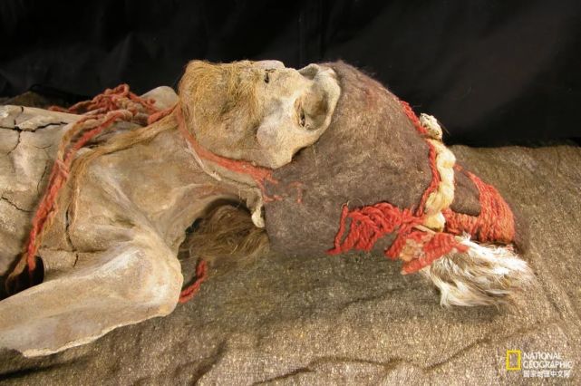 罗布泊深处为什么埋着这么多木人