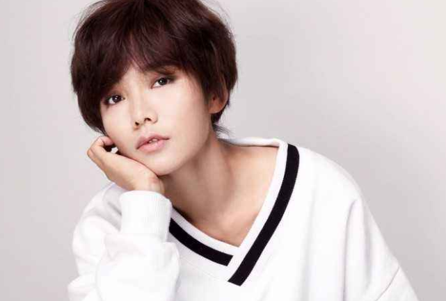 网友忍不住了|我要的飞翔|一起来看流星雨|郑爽|张翰|许飞