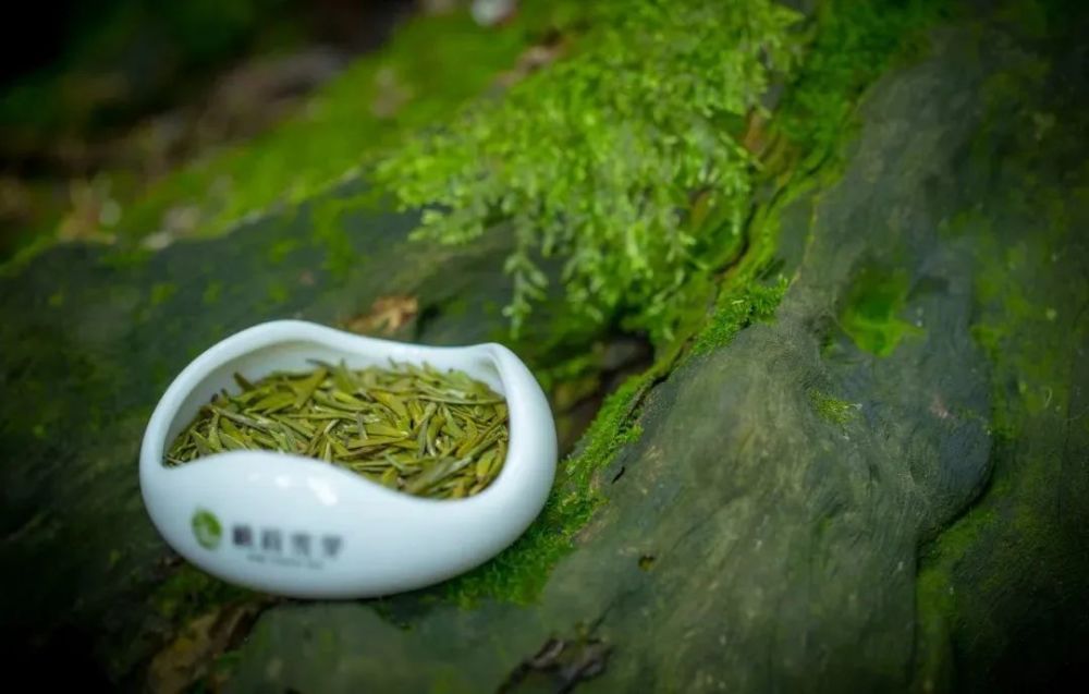 180吨茶叶走出国门乐山茶香飘满一带一路