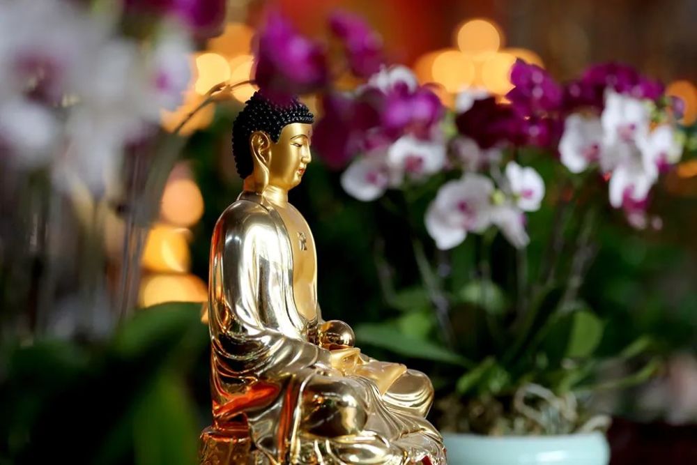 与佛有缘的人 腾讯网