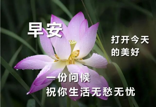 2020最好看的早上好問候表情圖片,清晨早安祝福句子