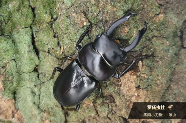 腾讯内容开放平台