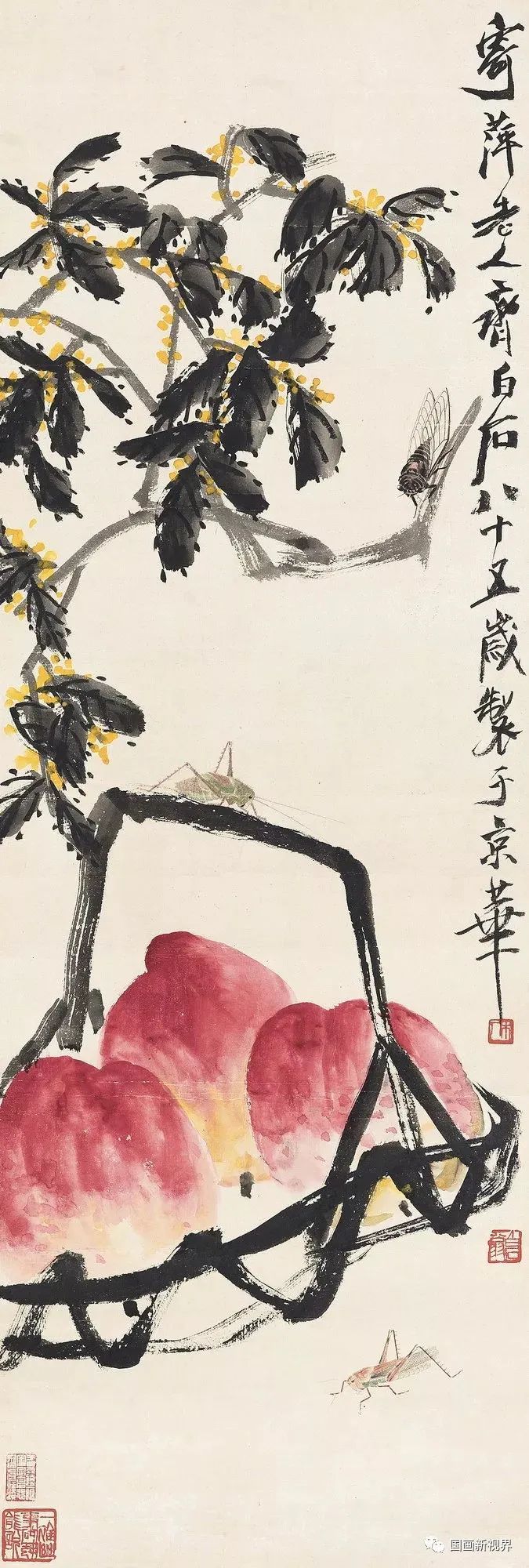 齐白石|一果一篮一世界！