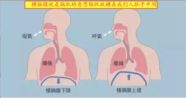 消化科醫生:生活中哪些土方法可以減輕打嗝,噯氣症狀?