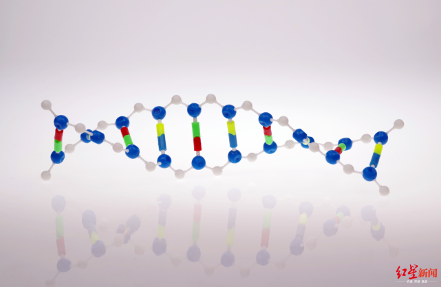 北京新发地疫情新冠病毒基因序列公布,专家认为与捷克等地病毒相似