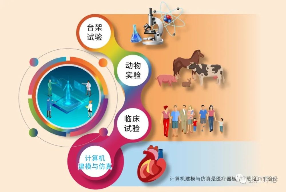 计算机建模与仿真助力医疗器械研发创新