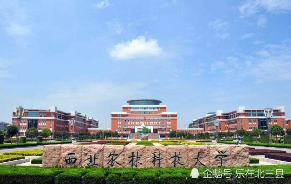 西安美食排行榜前十_我国城市竞争力排行榜出炉,扬州超越西安,无锡冲进前10