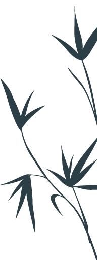 西安美术学院|致导师：没有您掺和的毕业创作