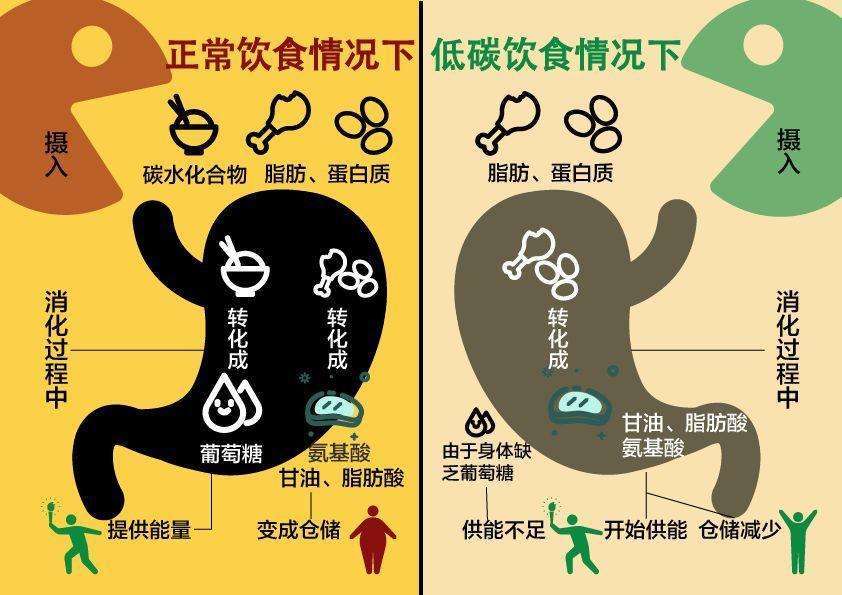 作为一种对饮食结构的调整方式,长期坚持阿特金斯减肥法瘦身的人很有