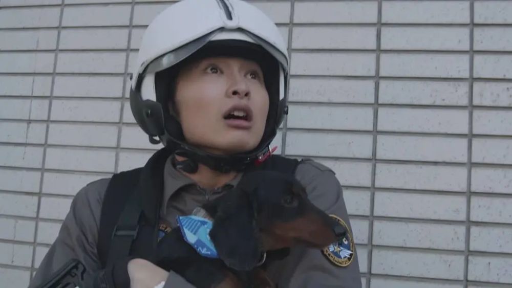 在赛文加追击哥美斯的时候,夏川遥辉也来到了现场,在指示赛文加到公园