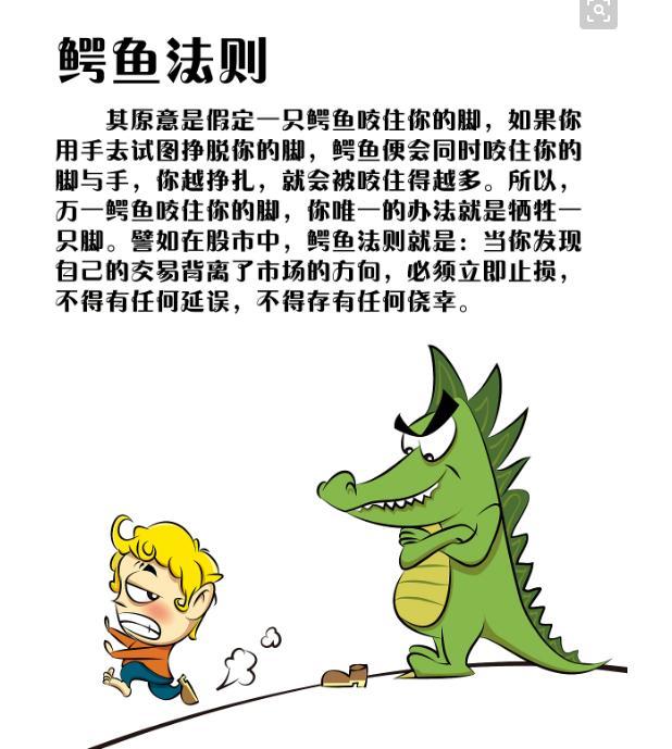 来自动物界的交易智慧鳄鱼法则读懂的没一个是穷人