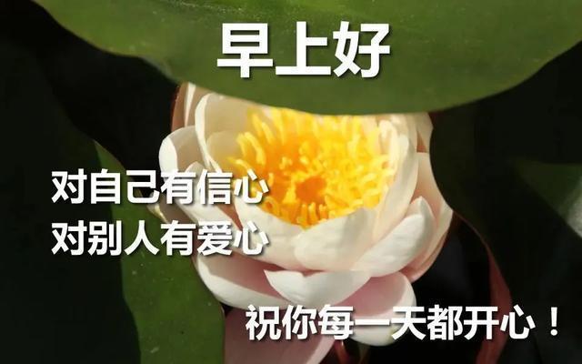 中老年表情包:一想到你就開心