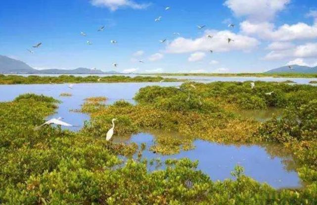 福建最大獨流入海的河流,流經福建四個城市,源頭就在這個城市