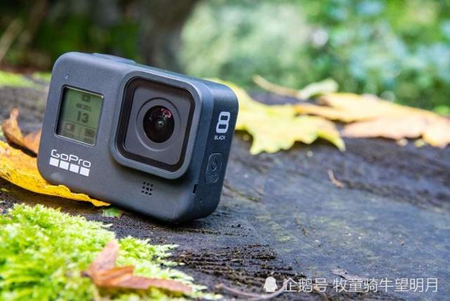 Gopro Hero 8black 运动者的福音 Goprohero Gopro 相机 框架