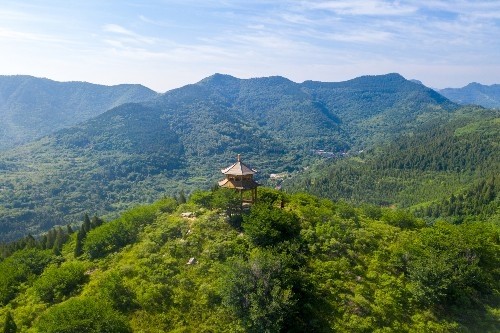 徒步济南彩石镇捎近村探访神奇的降龙树农家乐里啃肘子