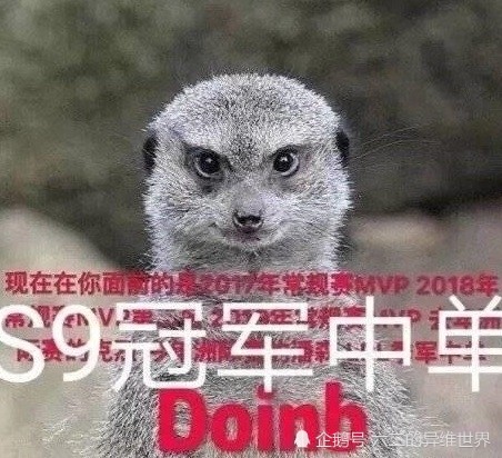 小天前几天冲分峡谷遭遇惨败,于是拉上lwx一起双排,毕竟早一点完成