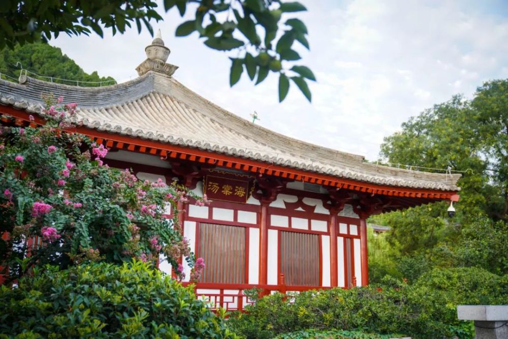 携手战疫丨华清美景上线,邀你在家"云"赏景!