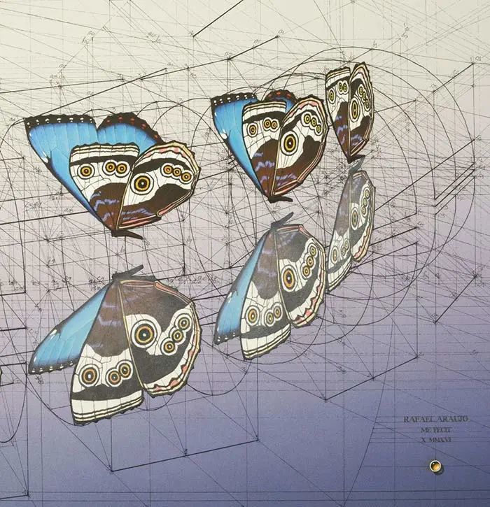 数学|当数学家按照数学画画，一般画家就只能做诗人了