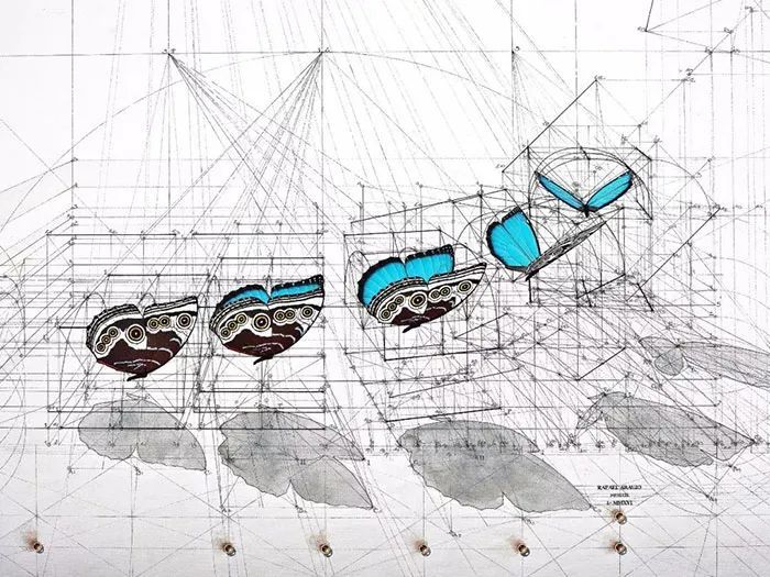 数学|当数学家按照数学画画，一般画家就只能做诗人了