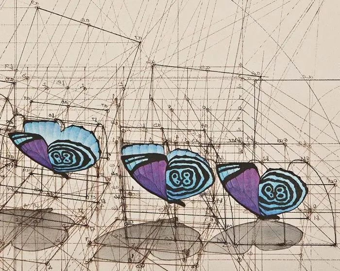 数学|当数学家按照数学画画，一般画家就只能做诗人了