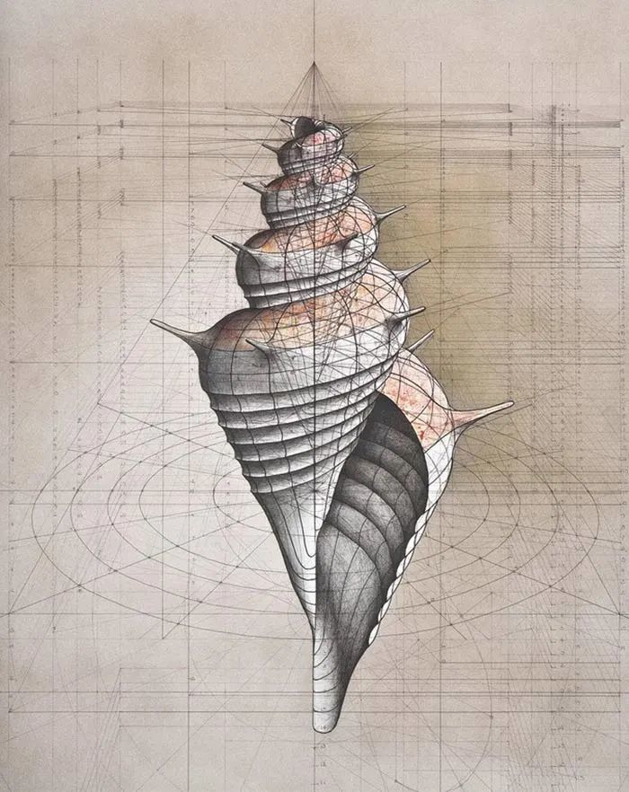 数学|当数学家按照数学画画，一般画家就只能做诗人了