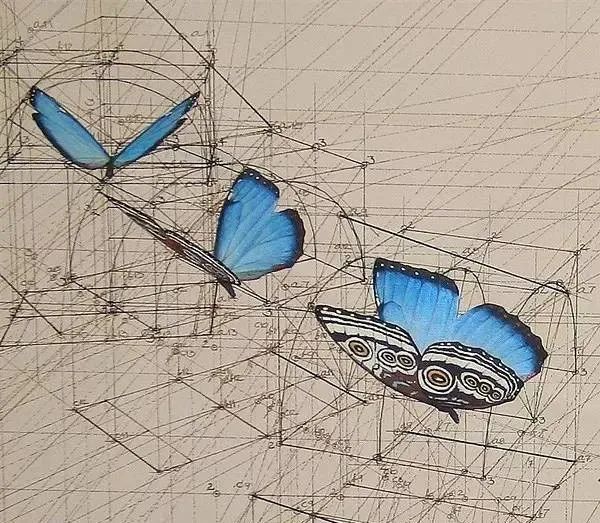 数学|当数学家按照数学画画，一般画家就只能做诗人了