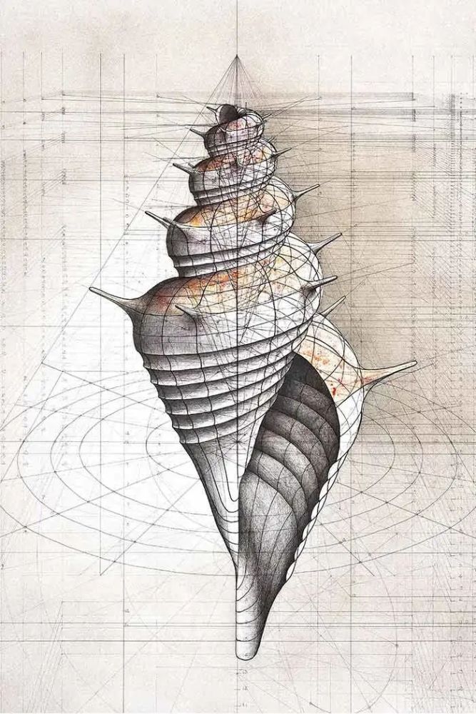 数学|当数学家按照数学画画，一般画家就只能做诗人了