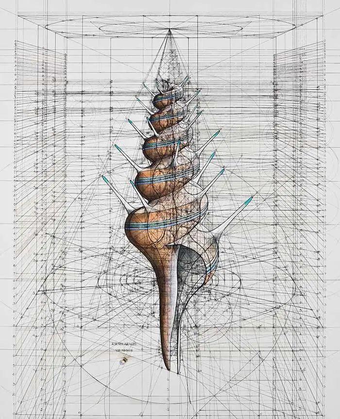 数学|当数学家按照数学画画，一般画家就只能做诗人了