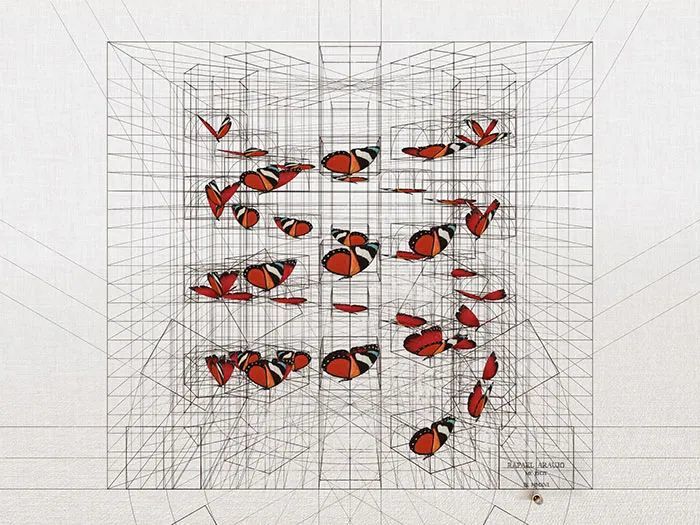 数学|当数学家按照数学画画，一般画家就只能做诗人了