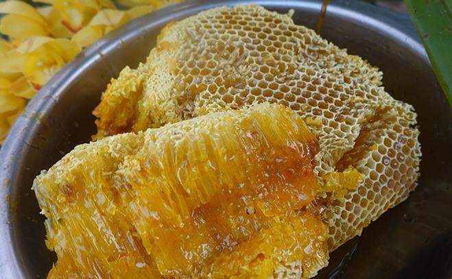 蜂蜜和什么过敏症状(蜂蜜和什么过敏症状有关) 蜂蜜和什么过敏症状(蜂蜜和什么过敏症状有关)