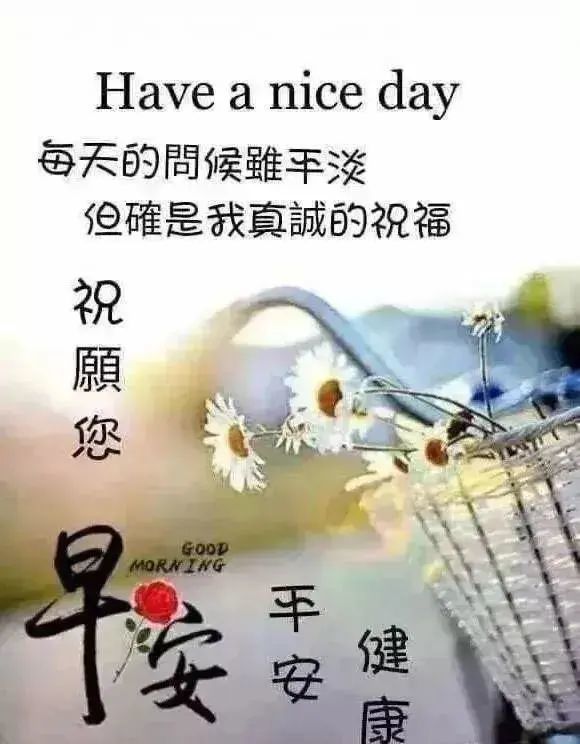 7月22日 早上好 朋友的祝福到 健康要添寿 朋友 愿你一切安好 事事如意 腾讯网