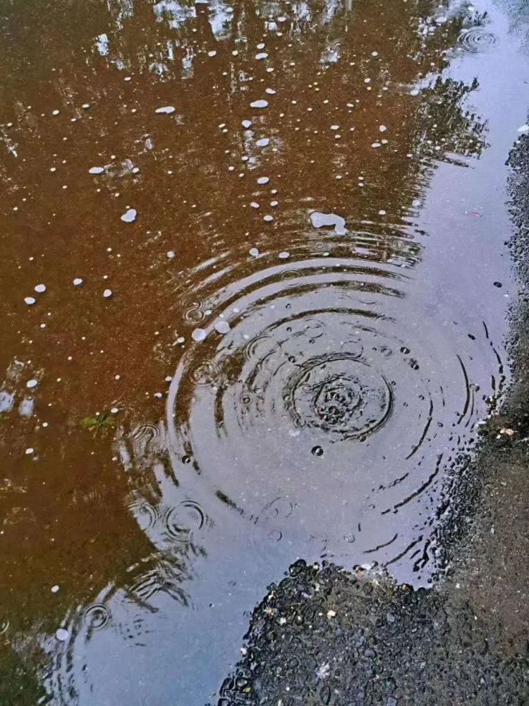 【隨筆】乾旱偏逢 及時雨