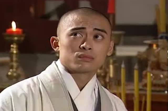 林志颖本身形象更精致,也显得更"精明"些,演不出段誉的那种"书呆子气"