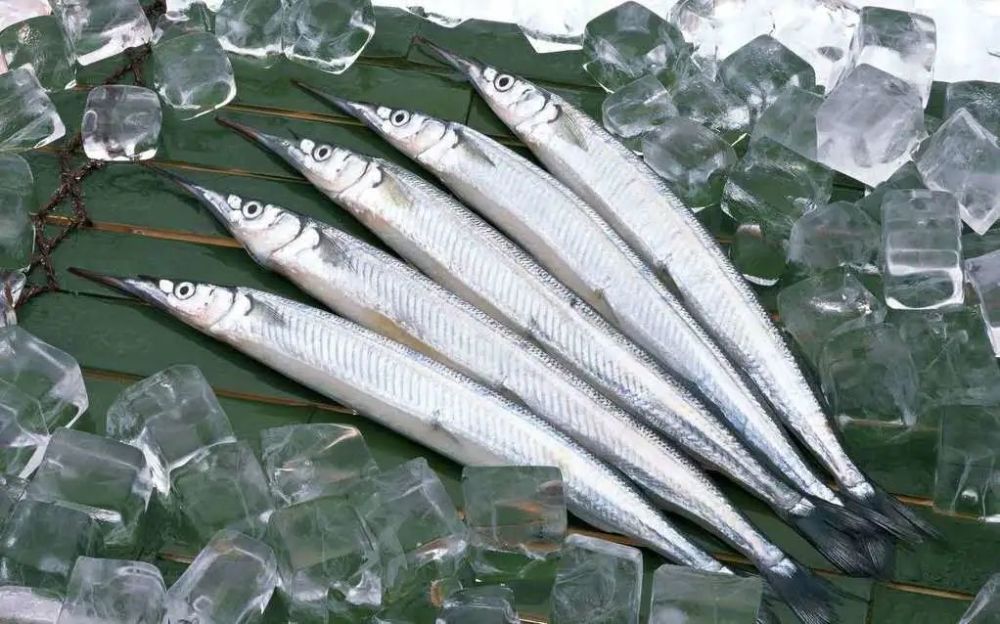 【舌尖上的曹妃甸】樱桃红时青条鲜