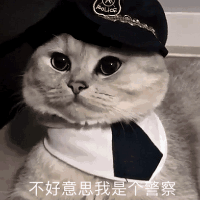 抖音热门把表情包真冷赶紧穿上我的毛皮大衣挑个颜色吧
