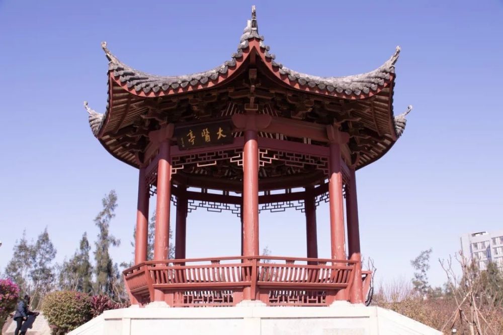 的未来它们见证着历史到中医药文化瑰宝从校史馆藏迎面而来浓郁的文化