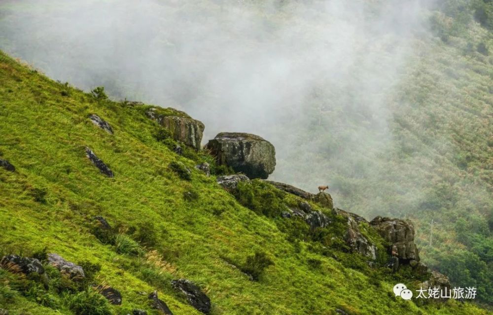 枕山入梦凭海临风我想带你去这座海岛