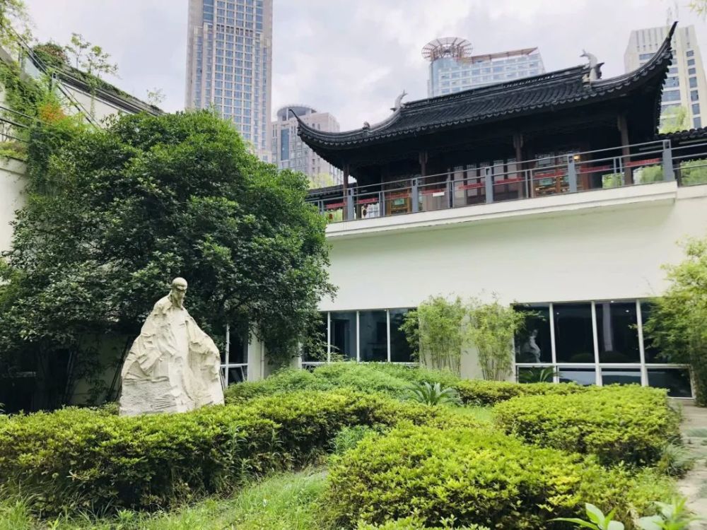 龙爪槐不见了大行宫小学与江宁织造府