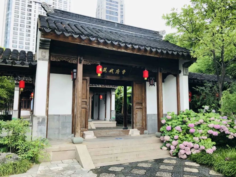 龙爪槐不见了大行宫小学与江宁织造府