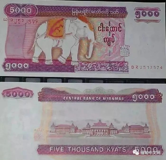 缅甸币5000图片图片