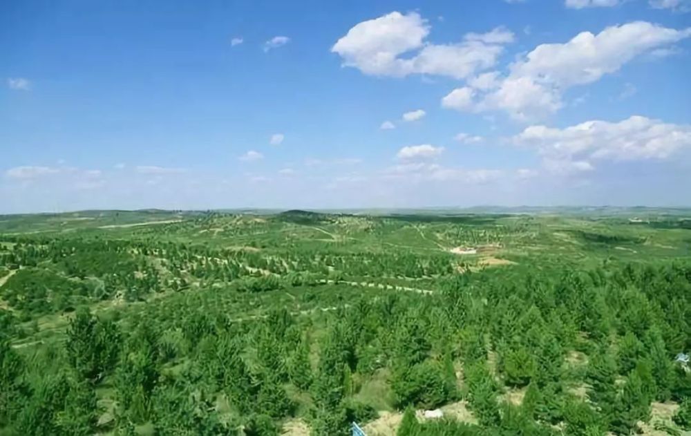 陕西榆林绿进沙退的中国密码