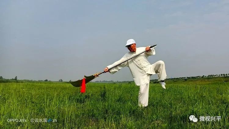 兴平融媒兴平渭河岸边难得一见的美景风吹草低见牛羊