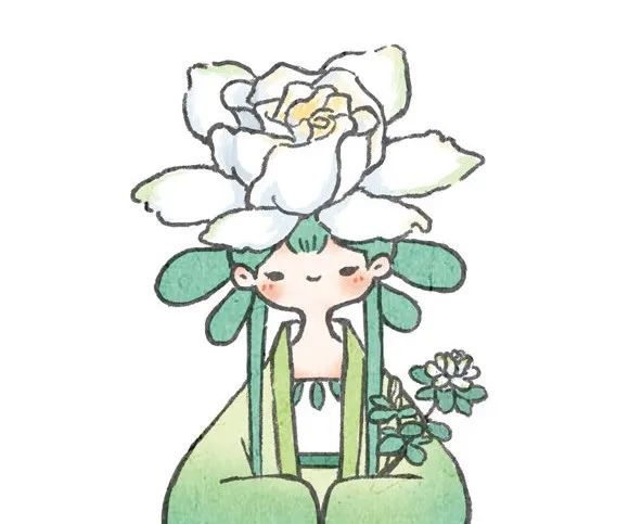 六月味道,是栀子_腾讯新闻