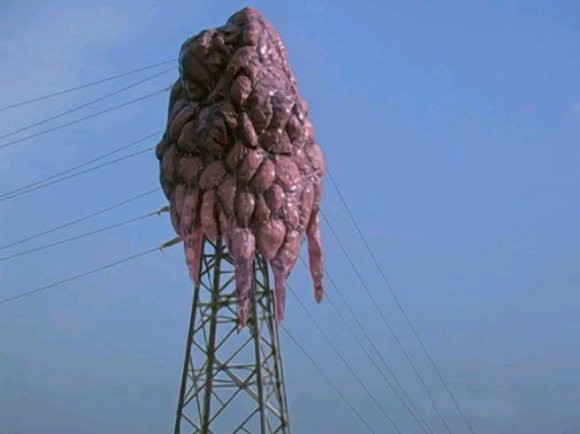 第三十一集中,出现了一种名为"比佐摩星生命体"的生物,发现的地方是